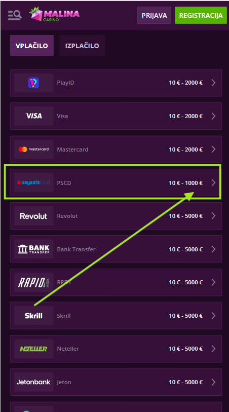 paysafesi-1.png